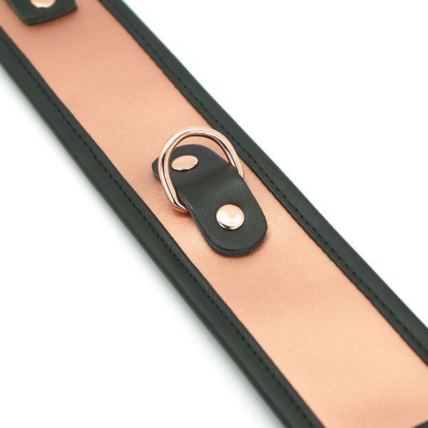 Широкий нашийник з повідцем Liebe Seele Rose Gold Memory Collar with Leash, натуральна шкіра SO9494