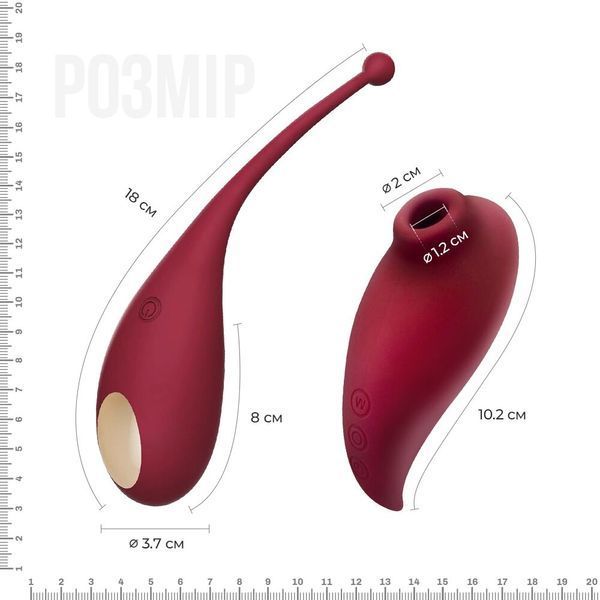 Смарт игрушка Adrien Lastic Inspiration: виброяйцо и вакуумный стимулятор с управлением со смартфона SO4480