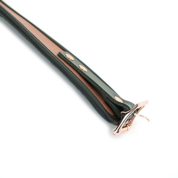Широкий нашийник з повідцем Liebe Seele Rose Gold Memory Collar with Leash, натуральна шкіра SO9494