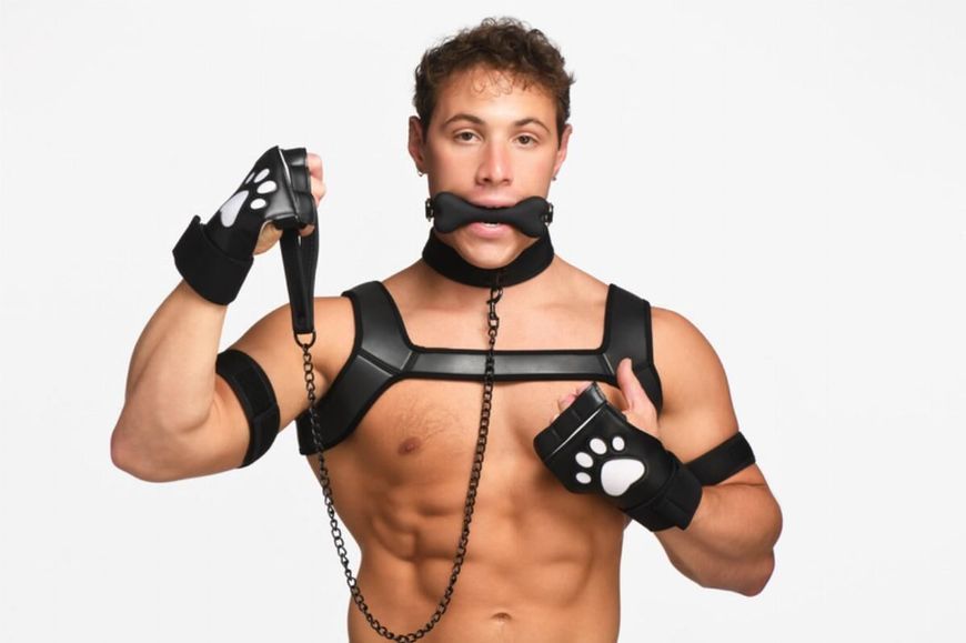 Набор BDSM щенка Master Series Luxury Pup Arsenal Set - Black SX1194