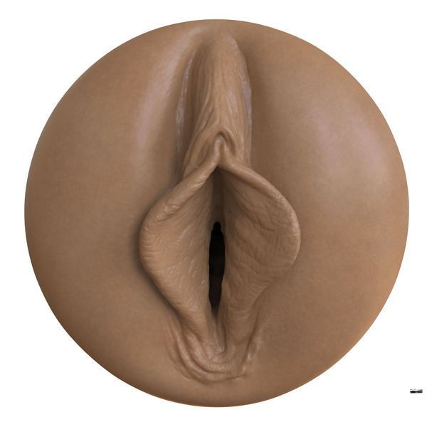 Мастурбатор-вагіна Fleshlight Boost Bang Medium Dark Flesh, плаваючі кільця Turbo Tech SX1315
