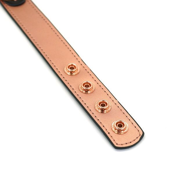 Ошейник с зажимами для сосков Liebe Seele Rose Gold Memory Collar with Nipple Clamps, кожа SO9495