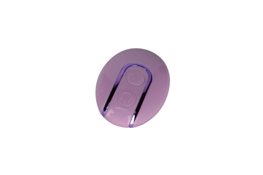 Вібратор для пар FairyGasm PleasureBerry violet, зарядний кейс, пульт ДК SX0642