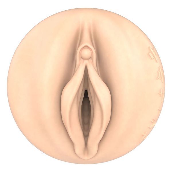 Мастурбатор Fleshlight Fantasy Sasha Nakamoto Ecchi, очень нежный, канал-тентакли SX1318