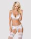 Кружевной комплект белья Obsessive 810-SEG-2 S/M White, бюстгальтер, стринги, пояс для чулок SO7165 фото 1