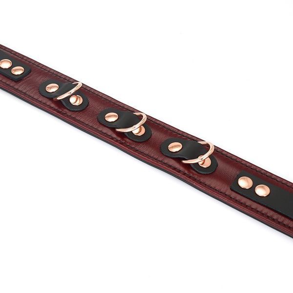 Кожаный ошейник с поводком Liebe Seele Wine Red Collar and Leash, 3 кольца для крепления SO9451