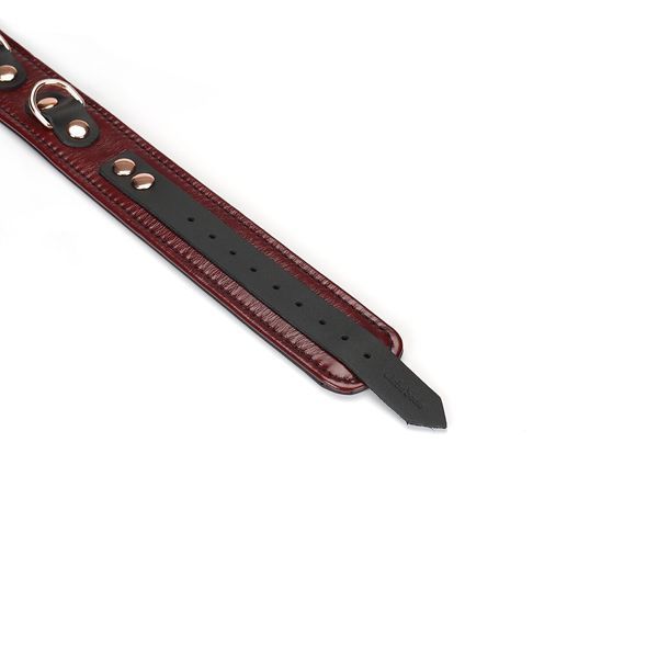 Кожаный ошейник с поводком Liebe Seele Wine Red Collar and Leash, 3 кольца для крепления SO9451