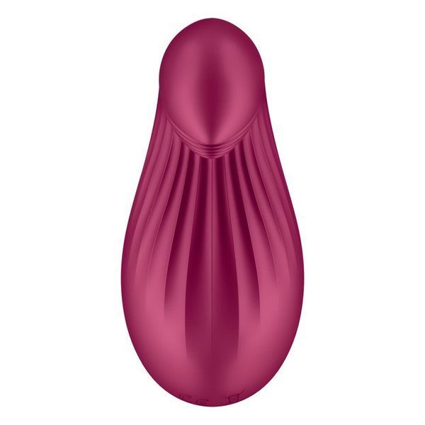 Вібратор Satisfyer Dipping Delight Berry, 2 мотори, гнучкий кінчик SO6990