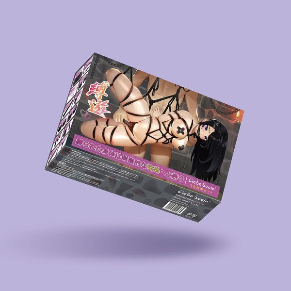 БДСМ-набор Liebe Seele Bound You 12pcs set, 12 предметов, в комплекте вибропуля и кружевные стринги SO9505