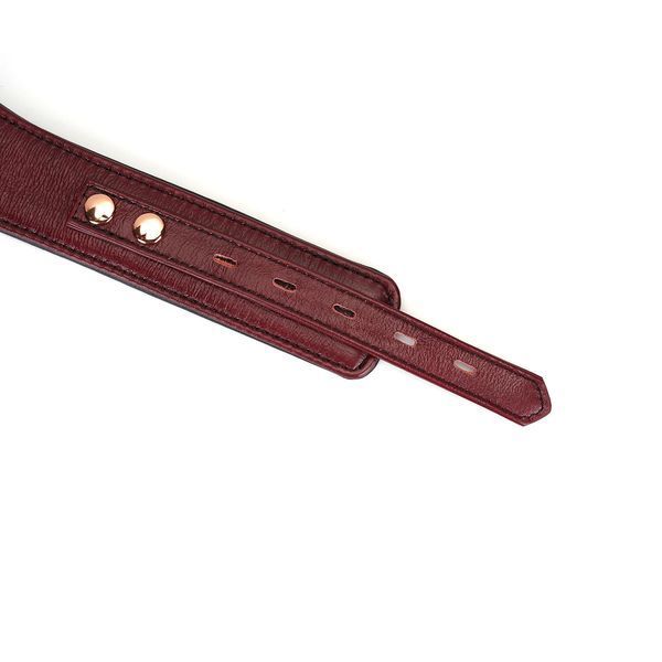 Шкіряний нашийник з повідцем Liebe Seele Wine Red Curved Collar, замок-сердечко SO9463