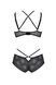 Комплект Passion DROSERA BIKINI black, L/XL, бюстгальтер и трусики-кюлоты SX0467 фото 4