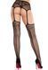 Колготки-чулки Leg Avenue Backseam Net Stockings  SX2761 фото 4